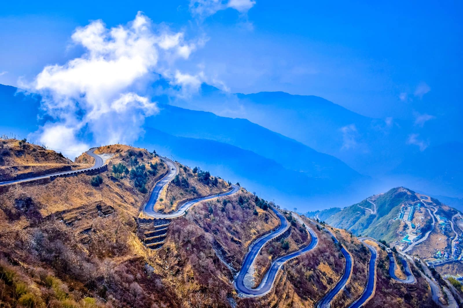 Zuluk