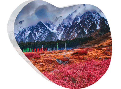 Yumthang Valley