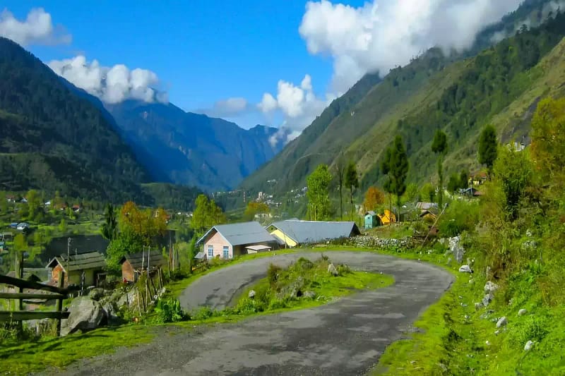 Yumthang Valley​