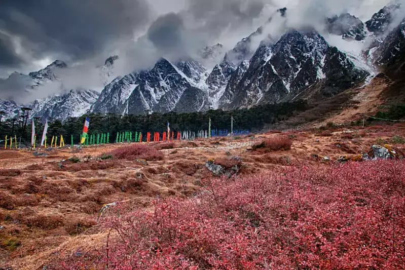 Pelling, Gangtok 2 Nights, Pelling 1 Night, Darjeeling 2 Nights